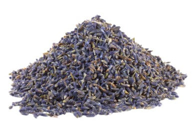 Lavender - lavandula angustifolia