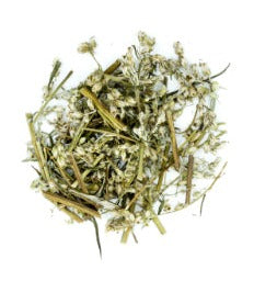 Mugwort - Artemesia vulgaris