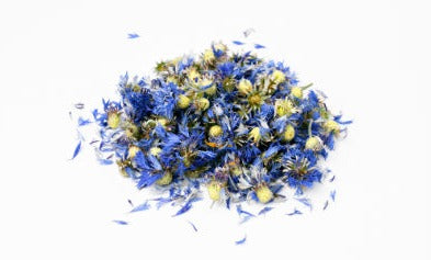 Blue Cornflower - Centaurea cyanus