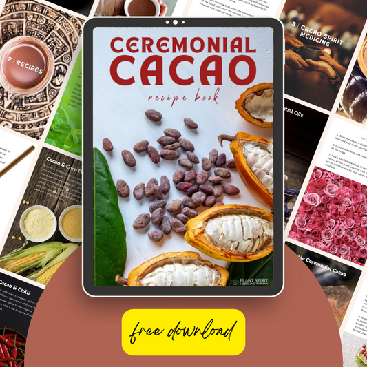 Ceremonial Cacao Recipe Book